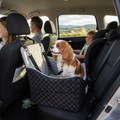 elevated dog car seats with safety belts and storage, plus cozy beds designed for everyday comfort—from small cuddlers to orthopedic options for larger