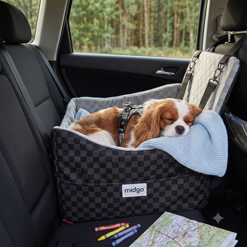 elevated dog car seats with safety belts and storage, plus cozy beds designed for everyday comfort—from small cuddlers to orthopedic options for larger